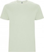 T-shirt da bambino con girocollo in 100% cotone da 190 g/m² Roly color verde tenue